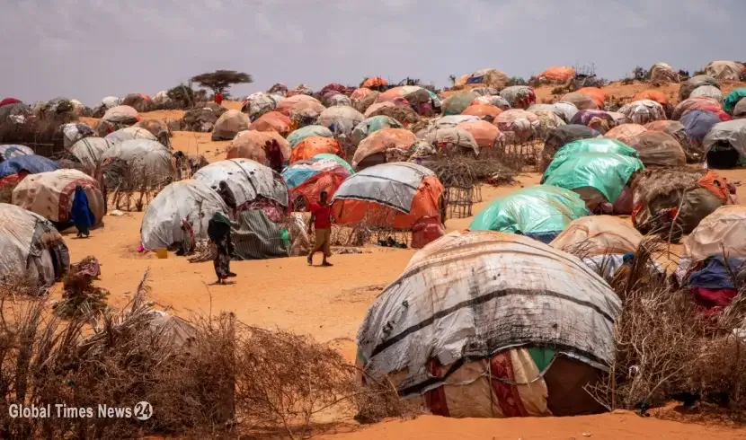 Deadly diseases may follow drought in Somalia, warns UN health agency