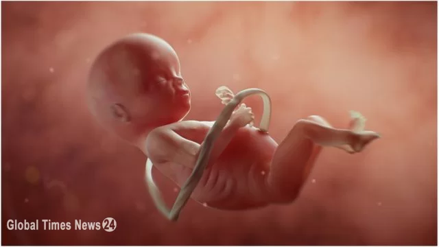 जानिए गर्भपात पर देश-दुनिया में कैसे-कैसे है कानून?