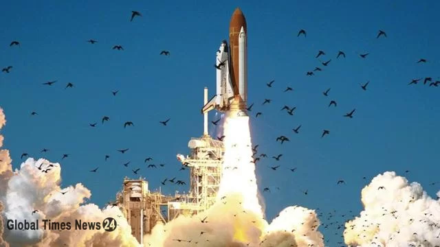 NASA, Challenger enkazının keşfini doğruladı