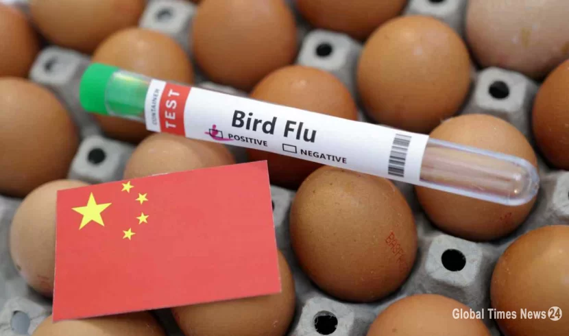 چین میں H3N8 برڈ فلو کی وجہ سے پہلی انسانی موت کی اطلاع